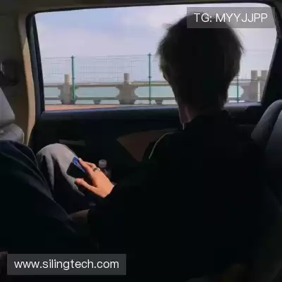 巫存汉